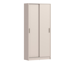 Шкаф-купе 2-х дверный Терра СБ-2545